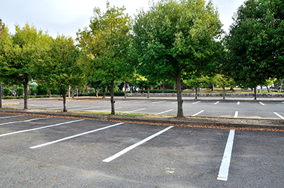 Parking spots in Gainesville