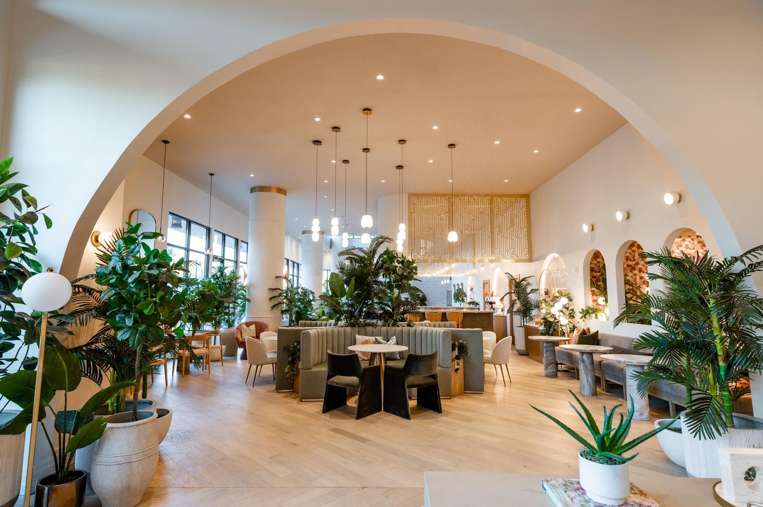 A modern, airy restaurant with wooden floors, green plants, round archways, and cozy seating—perfect as a study spot near UF. Large windows fill the space with light, while tables and booths offer a stylish, inviting atmosphere.