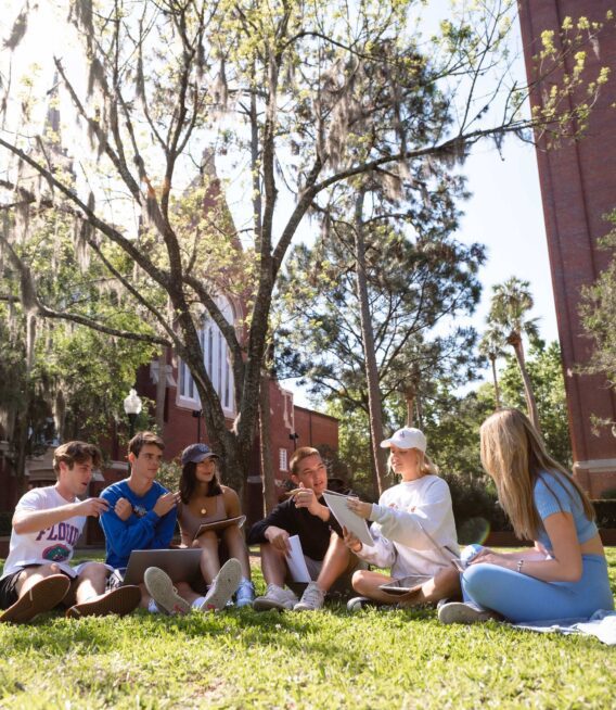 Six UF students study together on a lawn on campus